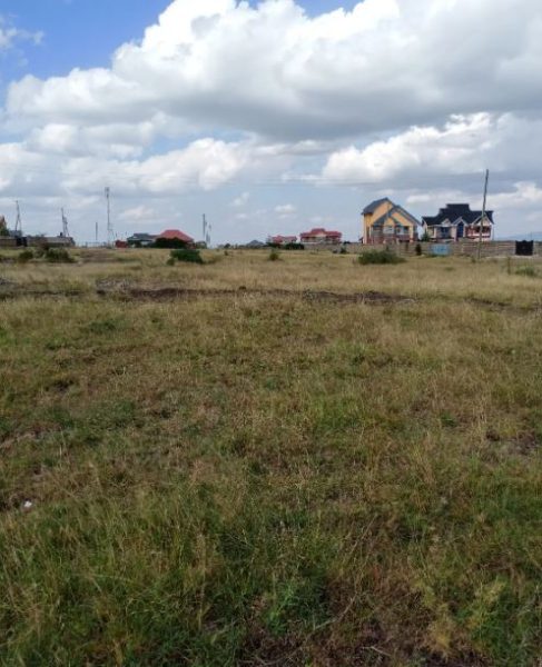 Land/ Plots for sale in Katani 2 Valuers, Appraisers, Assessors, Realtors, Valuators, Properties, For sale, Valuers in Nakuru, Property valuers in Nakuru, Land valuers in Nakuru , Kenya Valuers, Appraisal, Realtors, Naivasha valuers, Land-Property valuers in Eldoret, Mombasa Valuers, Thika Valuers, Nakuru valuers, Kisumu valuers, Muranga valuers, Nyeri valuers, Meru valuers, Nanyuki valuers, Westlands valuers, Kiambu valuers, Thika valuers, Machakos valuers, Kitengela valuers, Kajiado valuers, Naivasha valuers, Kenya valuers, Westlands appraisers, Appraisers in Nairobi Kenya, Home appraisal in Nairobi, Realtors in Nairobi, Ruiru valuers, Karen valuers, Land assessors, evaluators nairobi, Valuators Nairobi Kenya, Property assessors Nairobi Kenya, Appraisers Nairobi Kenya, House assessment Nairobi Kenya, House evaluators Nairobi; Valuers Nairobi Kenya, Appraisers Nairobi Kenya, Assessors Nairobi Kenya, Property assessors Nairobi Kenya, Valuation Company in Nairobi Kenya, Valuation Companies in Nairobi Kenya, Property Valuation Company in Nairobi, Mombasa, Kisumu, Mombasa, Meru, Embu, Nyeri, Nanyuki Kenya, Meru Valuers, Embu Valuers, Nyeri Valuers, Kenya Valuation Companies, best valuation company in Kenya valuers, Appraisers, Assessors, Realtors, Valuators, Properties, For sale, Valuers in Nakuru, Property valuers in Nakuru, Land valuers in Nakuru , Kenya Valuers, Appraisal, Realtors, Naivasha valuers, Land-Property valuers in Eldoret, Mombasa Valuers, Thika Valuers, Nakuru valuers, Kisumu valuers, Muranga valuers, Nyeri valuers, Meru valuers, Nanyuki valuers, Westlands valuers, Kiambu valuers, Thika valuers, Machakos valuers, Kitengela valuers, Kajiado valuers, Naivasha valuers, Kenya valuers, Westlands appraisers, Appraisers in Nairobi Kenya, Home appraisal in Nairobi, Realtors in Nairobi, Ruiru valuers, Karen valuers, Land assessors, evaluators nairobi, Valuators Nairobi Kenya, Property assessors Nairobi Kenya, Appraisers Nairobi Kenya, House assessment Nairobi Kenya, House evaluators Nairobi; Valuers Nairobi Kenya, Appraisers Nairobi Kenya, Assessors Nairobi Kenya, Property assessors Nairobi Kenya, Valuation Company in Nairobi Kenya, Valuation Companies in Nairobi Kenya, Property Valuation Company in Nairobi, Mombasa, Kisumu, Mombasa, Meru, Embu, Nyeri, Nanyuki Kenya, Meru Valuers, Embu Valuers, Nyeri Valuers, Kenya Valuation Companies, best valuation company in Kenyaaluers, Appraisers, Assessors, Realtors, Valuators, Properties, For sale, Valuers in Nakuru, Property valuers in Nakuru, Land valuers in Nakuru , Kenya Valuers, Appraisal, Realtors, Naivasha valuers, Land-Property valuers in Eldoret, Mombasa Valuers, Thika Valuers, Nakuru valuers, Kisumu valuers, Muranga valuers, Nyeri valuers, Meru valuers, Nanyuki valuers, Westlands valuers, Kiambu valuers, Thika valuers, Machakos valuers, Kitengela valuers, Kajiado valuers, Naivasha valuers, Kenya valuers, Westlands appraisers, Appraisers in Nairobi Kenya, Home appraisal in Nairobi, Realtors in Nairobi, Ruiru valuers, Karen valuers, Land assessors, evaluators nairobi, Valuators Nairobi Kenya, Property assessors Nairobi Kenya, Appraisers Nairobi Kenya, House assessment Nairobi Kenya, House evaluators Nairobi; Valuers Nairobi Kenya, Appraisers Nairobi Kenya, Assessors Nairobi Kenya, Property assessors Nairobi Kenya, Valuation Company in Nairobi Kenya, Valuation Companies in Nairobi Kenya, Property Valuation Company in Nairobi, Mombasa, Kisumu, Mombasa, Meru, Embu, Nyeri, Nanyuki Kenya, Meru Valuers, Embu Valuers, Nyeri Valuers, Kenya Valuation Companies, best valuation company in Kenya; Land valuation company, land selling agents Nairobi Kenya, land selling company in Nakuru, property selling company Nakuru, Property selling agents in Naivasha Kenya, Properties for sale Nairobi Kenya, For sale Nairobi Kenya, Property assessor Nairobi Kenya, Valuators Nairobi Kenya, Property Evaluators Nairobi Kenya, Land assessors Nairobi Kenya, Muranga Valuers, Land values Kenya, Mombasa Appraisers, Naivasha Property appraisers, Kiambu property appraisers, Nanyuki Property appraisers, Nyeri property appraisers, Property appraisers Kenya, Property valuers Kenya, Valuators Kenya, Nairobi properties Kenya, Best valuers in Kenya, Kiambu property appraisers, Property valuers Kiambu Kenya, Registered Valuers Mombasa, Licensed valuers Nakuru, Registered valuers Nyeri, licensed valuers Mombasa, registered valuers Thika, Kenya valuers, Valuers Kenya
