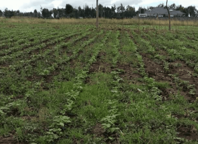 PLOT FOR SALE AT NJORO, NAKURU