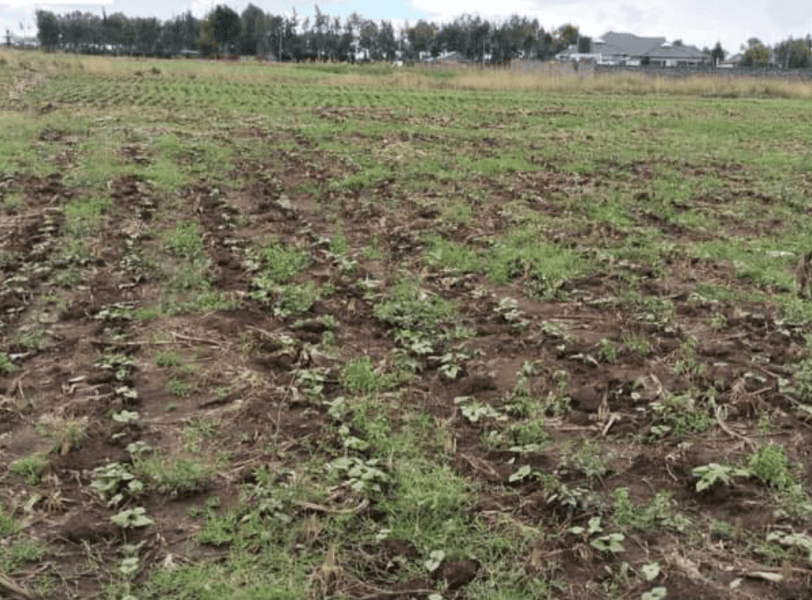 PLOT FOR SALE AT NJORO, NAKURU