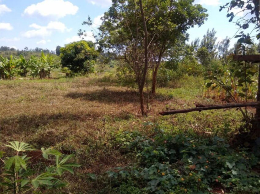 land for sale in muranga