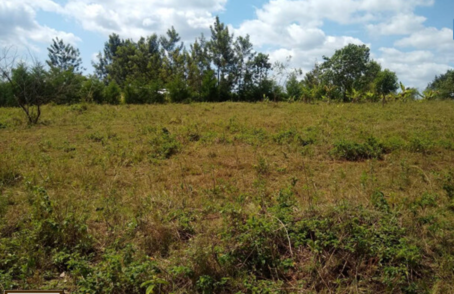 land for sale in muranga