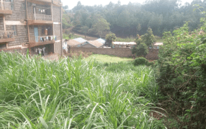Plot for sale in Embu Town in Embu; aluers, Appraisers, Assessors, Realtors, Valuators, Properties, For sale, Valuers in Nakuru, Property valuers in Nakuru, Land valuers in Nakuru , Kenya Valuers, Appraisal, Realtors, Naivasha valuers, Land-Property valuers in Eldoret, Mombasa Valuers, Thika Valuers, Nakuru valuers, Kisumu valuers, Muranga valuers, Nyeri valuers, Meru valuers, Nanyuki valuers, Westlands valuers, Kiambu valuers, Thika valuers, Machakos valuers, Kitengela valuers, Kajiado valuers, Naivasha valuers, Kenya valuers, Westlands appraisers, Appraisers in Nairobi Kenya, Home appraisal in Nairobi, Realtors in Nairobi, Ruiru valuers, Karen valuers, Land assessors, evaluators nairobi, Valuators Nairobi Kenya, Property assessors Nairobi Kenya, Appraisers Nairobi Kenya, House assessment Nairobi Kenya, House evaluators Nairobi; Valuers Nairobi Kenya, Appraisers Nairobi Kenya, Assessors Nairobi Kenya, Property assessors Nairobi Kenya, Valuation Company in Nairobi Kenya, Valuation Companies in Nairobi Kenya, Property Valuation Company in Nairobi, Mombasa, Kisumu, Mombasa, Meru, Embu, Nyeri, Nanyuki Kenya, Meru Valuers, Embu Valuers, Nyeri Valuers, Kenya Valuation Companies