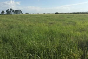 plots for sale in kabarak nakuru; aluers, Appraisers, Assessors, Realtors, Valuators, Properties, For sale, Valuers in Nakuru, Property valuers in Nakuru, Land valuers in Nakuru , Kenya Valuers, Appraisal, Realtors, Naivasha valuers, Land-Property valuers in Eldoret, Mombasa Valuers, Thika Valuers, Nakuru valuers, Kisumu valuers, Muranga valuers, Nyeri valuers, Meru valuers, Nanyuki valuers, Westlands valuers, Kiambu valuers, Thika valuers, Machakos valuers, Kitengela valuers, Kajiado valuers, Naivasha valuers, Kenya valuers, Westlands appraisers, Appraisers in Nairobi Kenya, Home appraisal in Nairobi, Realtors in Nairobi, Ruiru valuers, Karen valuers, Land assessors, evaluators nairobi, Valuators Nairobi Kenya, Property assessors Nairobi Kenya, Appraisers Nairobi Kenya, House assessment Nairobi Kenya, House evaluators Nairobi; Valuers Nairobi Kenya, Appraisers Nairobi Kenya, Assessors Nairobi Kenya, Property assessors Nairobi Kenya, Valuation Company in Nairobi Kenya, Valuation Companies in Nairobi Kenya, Property Valuation Company in Nairobi, Mombasa, Kisumu, Mombasa, Meru, Embu, Nyeri, Nanyuki Kenya, Meru Valuers, Embu Valuers, Nyeri Valuers, Kenya Valuation Companies