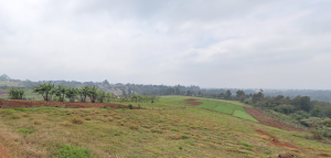 Land for Sale in Red Hill, Limuru Kiambu County; Land for sale in Red Hill, Limuru Kiambu County; Properties for sale, Land for sale in Nairobi, Houses for sale in Nairobi, To let, For sale, Prime properties; Property valuers, assessors in Kenya, Kenya Valuers, Property Agents in Nairobi Kenya, Property Appraisers, Valuators, Land selling Agents, Valuers in Westlands Nairobi, Property Valuers in Thika, Kiambu Valuers, Naivasha valuers, Nakuru Valuers, Mombasa valuers, Meru Valuers, Embu Valuers, Property Appraisers in Nairobi, Assessors in Nairobi Kenya, Prime land for sale, Land for sale in Naivasha, Valuers, Appraisers, Assessors, Realtors, Valuators, Properties, For sale, Valuers in Nakuru, Property valuers in Nakuru, Land valuers in Nakuru , Kenya Valuers, Appraisal, Realtors, Naivasha valuers, Land-Property valuers in Eldoret, Mombasa Valuers, Thika Valuers, Nakuru valuers, Kisumu valuers, Muranga valuers, Nyeri valuers, Meru valuers, Nanyuki valuers, Westlands valuers, Kiambu valuers, Thika valuers, Machakos valuers, Kitengela valuers, Kajiado valuers, Naivasha valuers, Kenya valuers, Westlands appraisers, Appraisers in Nairobi Kenya, Home appraisal in Nairobi, Realtors in Nairobi, Ruiru valuers, Karen valuers, Land assessors, evaluators nairobi, Valuators Nairobi Kenya, Property assessors Nairobi Kenya, Appraisers Nairobi Kenya, House assessment Nairobi Kenya, House evaluators Nairobi