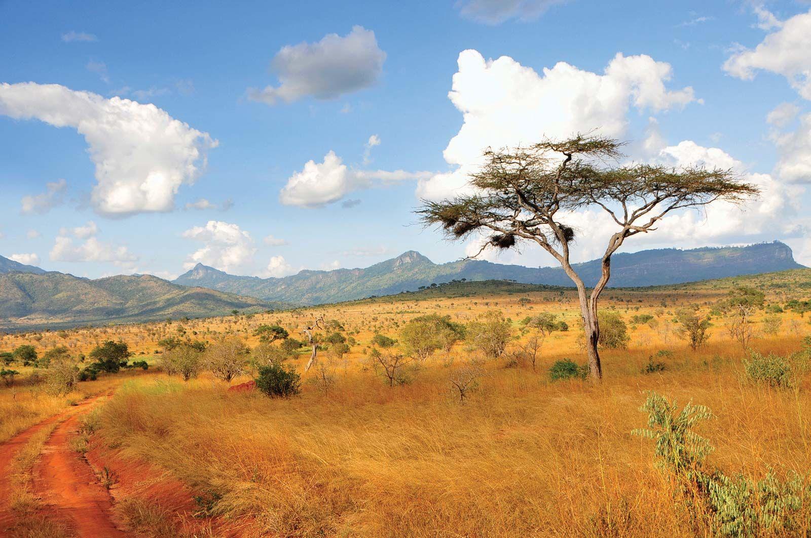Exploring Kenya's Diverse Real Estate Market