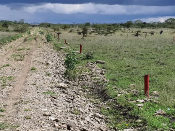 Plots for sale in Kitengela Enkasiti 10 IMG 20220524 WA0100