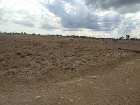 Land for Sale in Kisaju Kitengela 8 IMG 20221108 WA0003