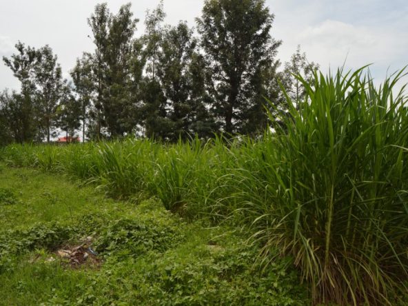 IMG 20230421 WA0026 1024x680 1