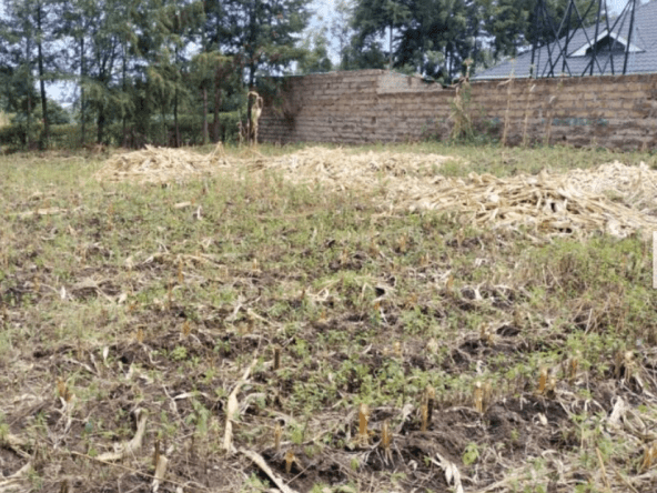 Plots for sale in Kabarak Nakuru12
