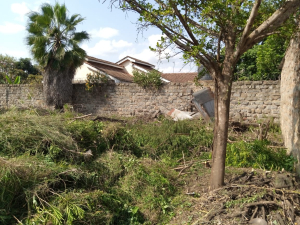 Land & Plots for sale in landless thika, ngata verovian nakuru. valuers in nakuru, nanyuki, muranga, naivasha, meru, embu, thika, mombasa, nyeri, ruiru, kiambu, machakos