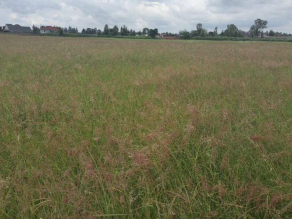 Land for sale in ngata nakuru kirigiti kiambu muranga kaharati kenol maragwa sabasaba kamahuha mugumoini mbogoini muranga county kaharati maragwa.muranga c