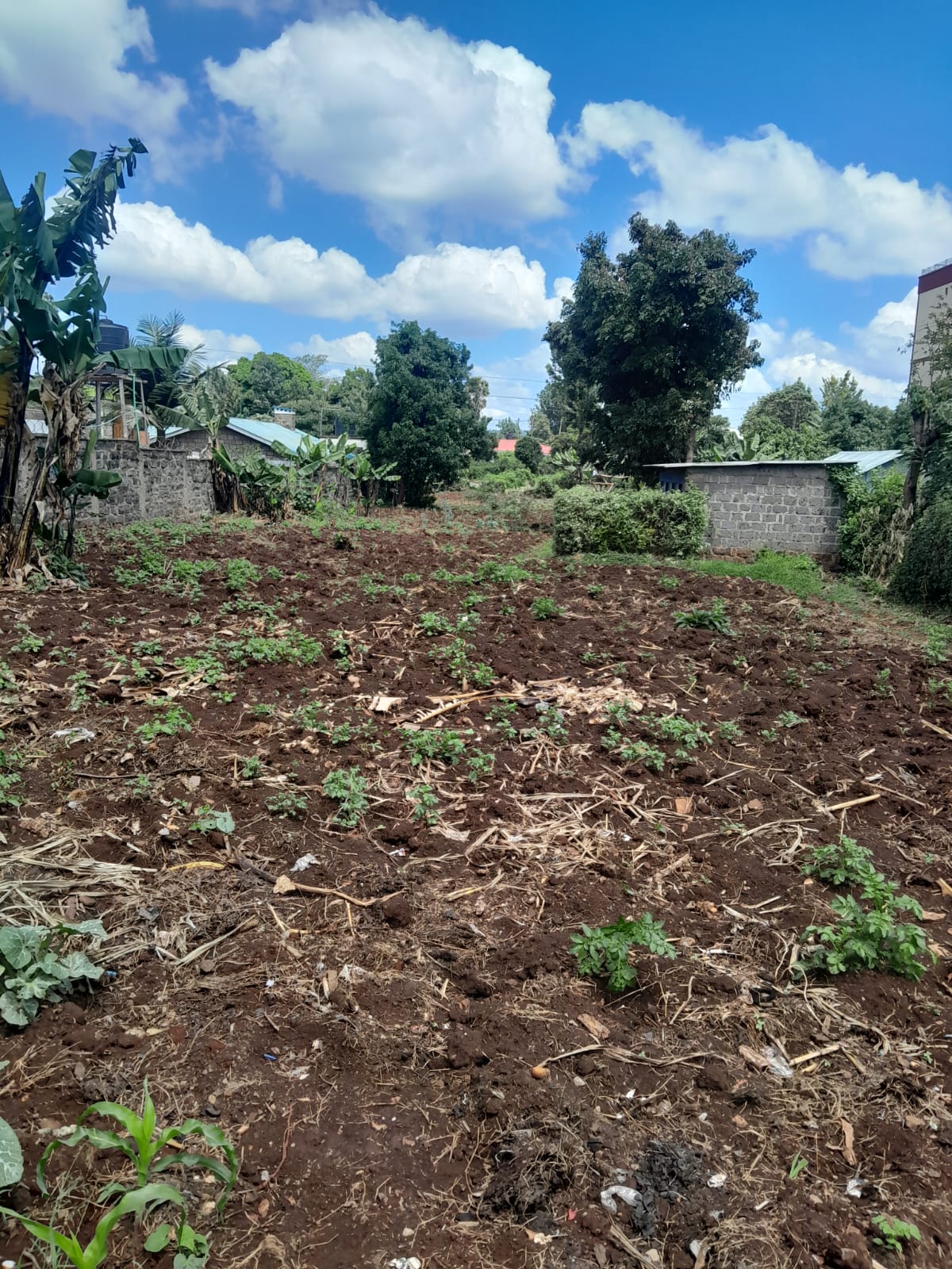 Land for sale in kitisuru kinanda road....