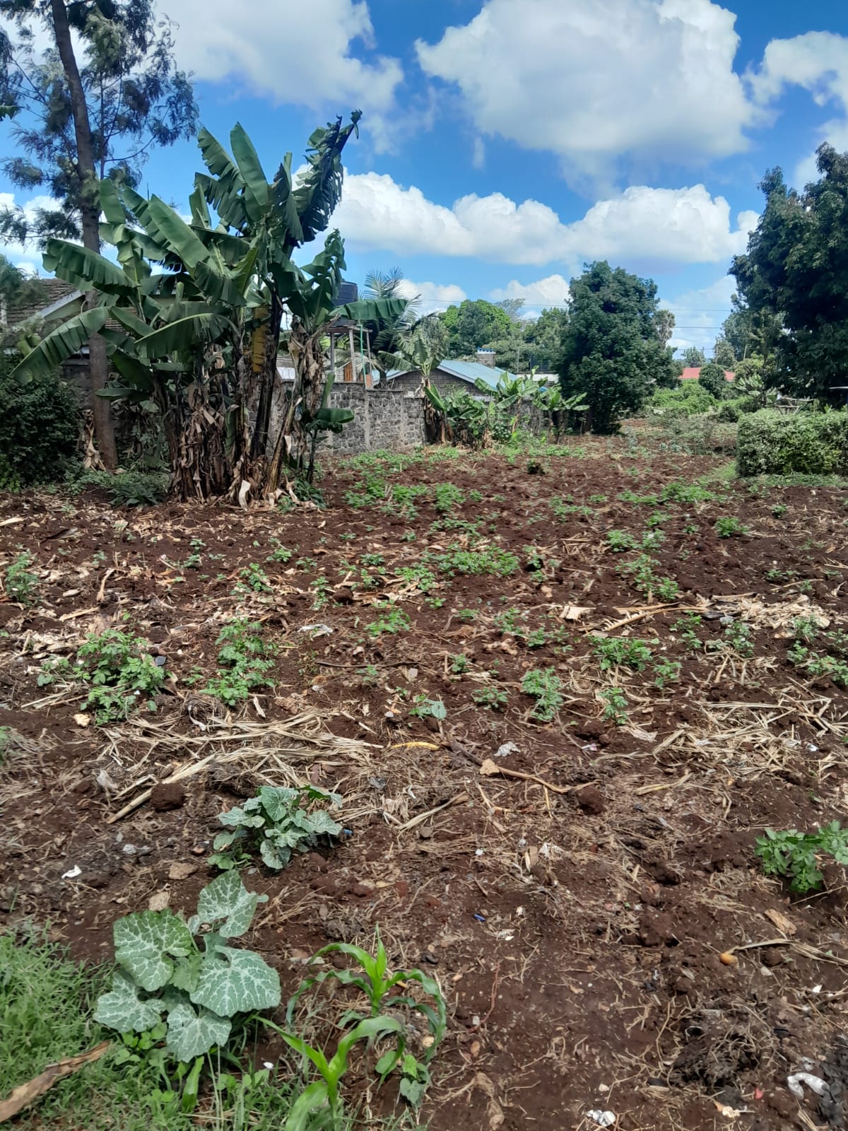 Land for sale in kitisuru kinanda road.,,