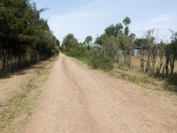 Plots for sale in Nanyuki Nturukuma
