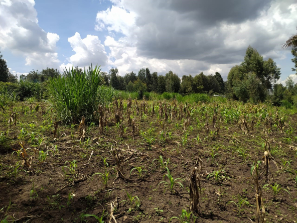 Plot for sale in Ngong Matasia