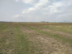 Land for sale in Juja Kiambu County
