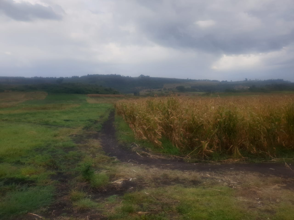 IMG 20251215 WA0002