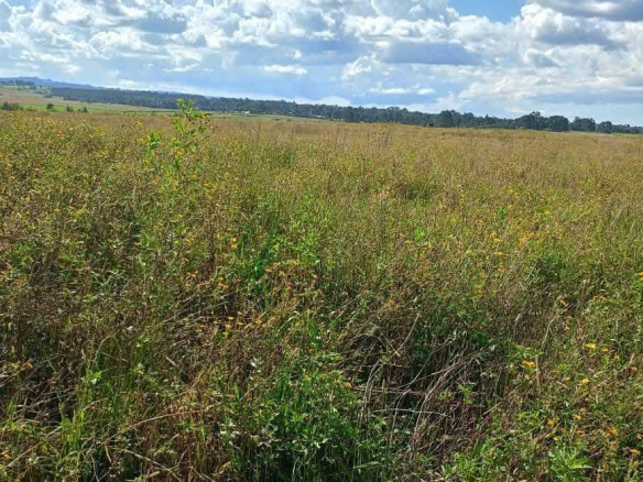 Land for sale in olkalou nyandarua county agricultural land