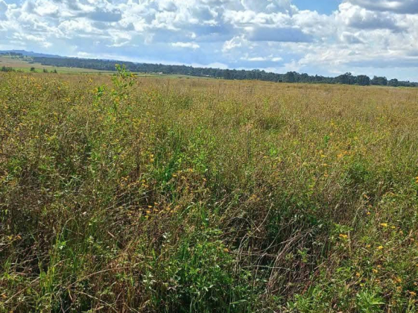 Land for sale in olkalou nyandarua county agricultural land