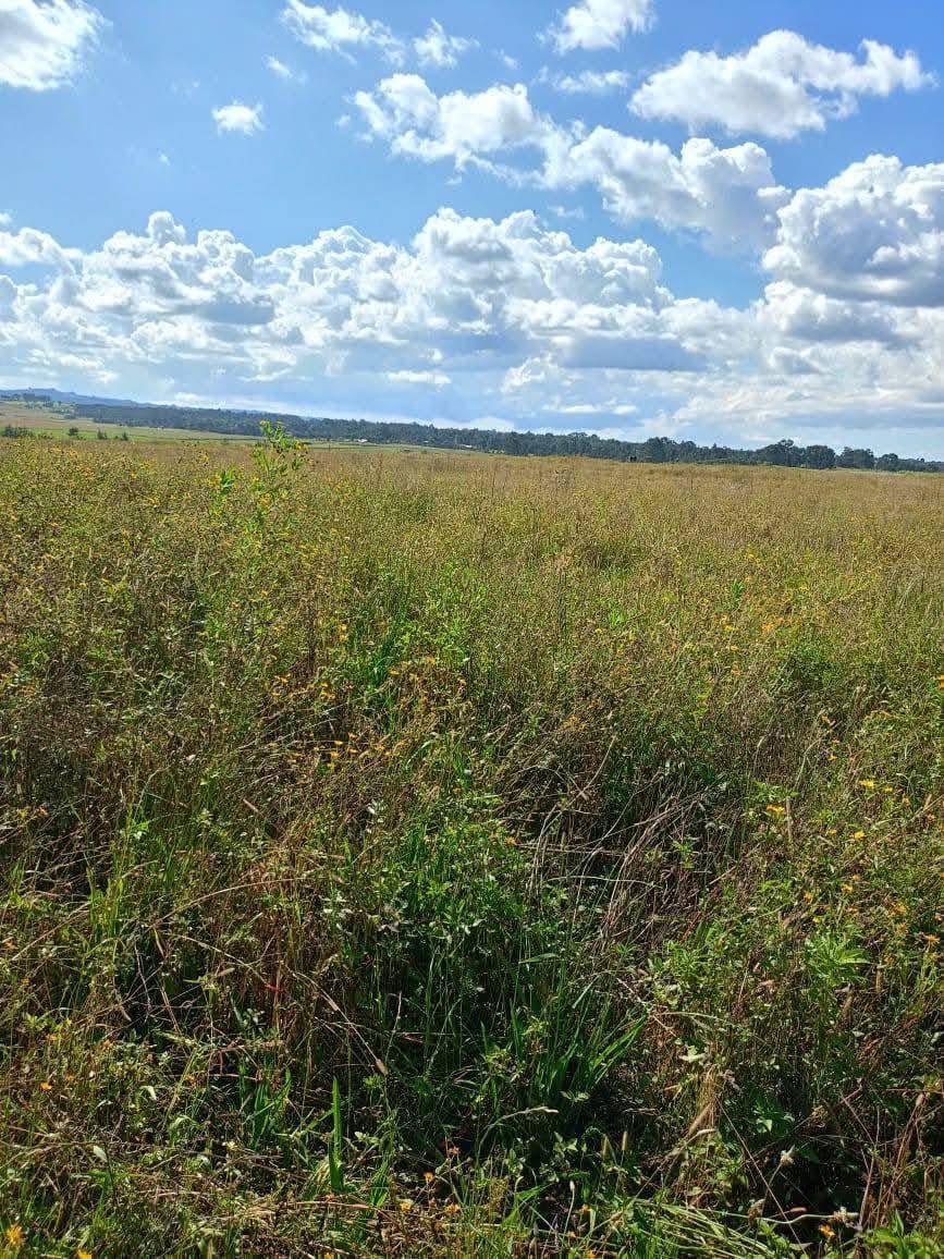 Land for sale in olkalou nyandarua county agricultural land