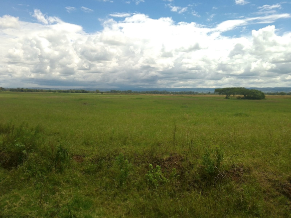 land fir sale in nakuru njoro