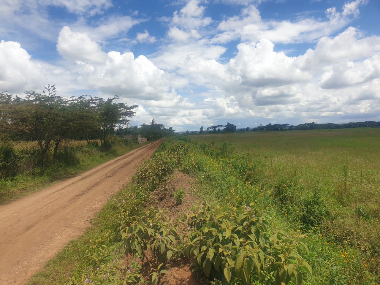 land for sale i n salgaa rongai nakuru kenya